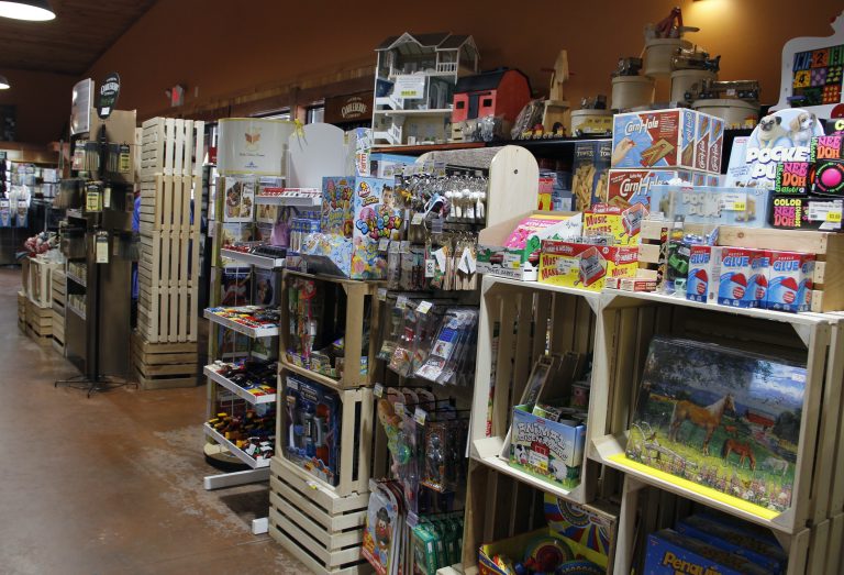 Games, toys, and puzzles line the shelves.